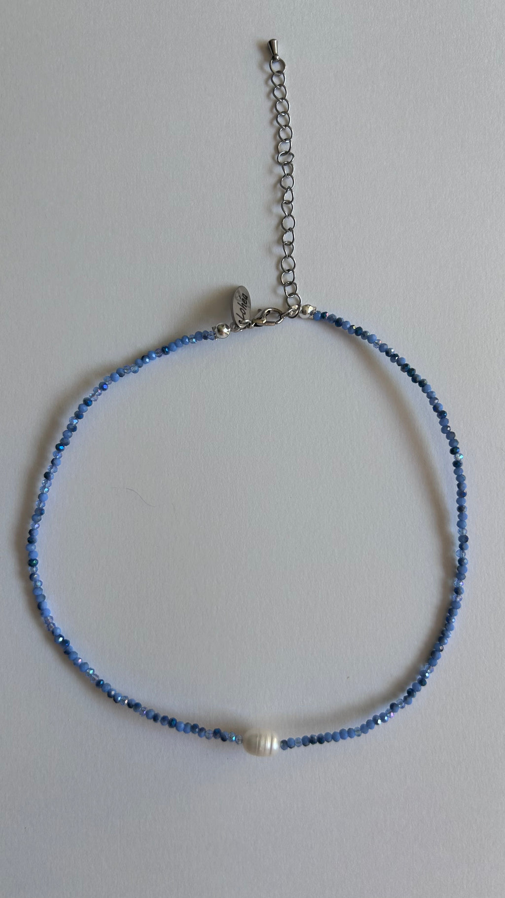 Bleuet