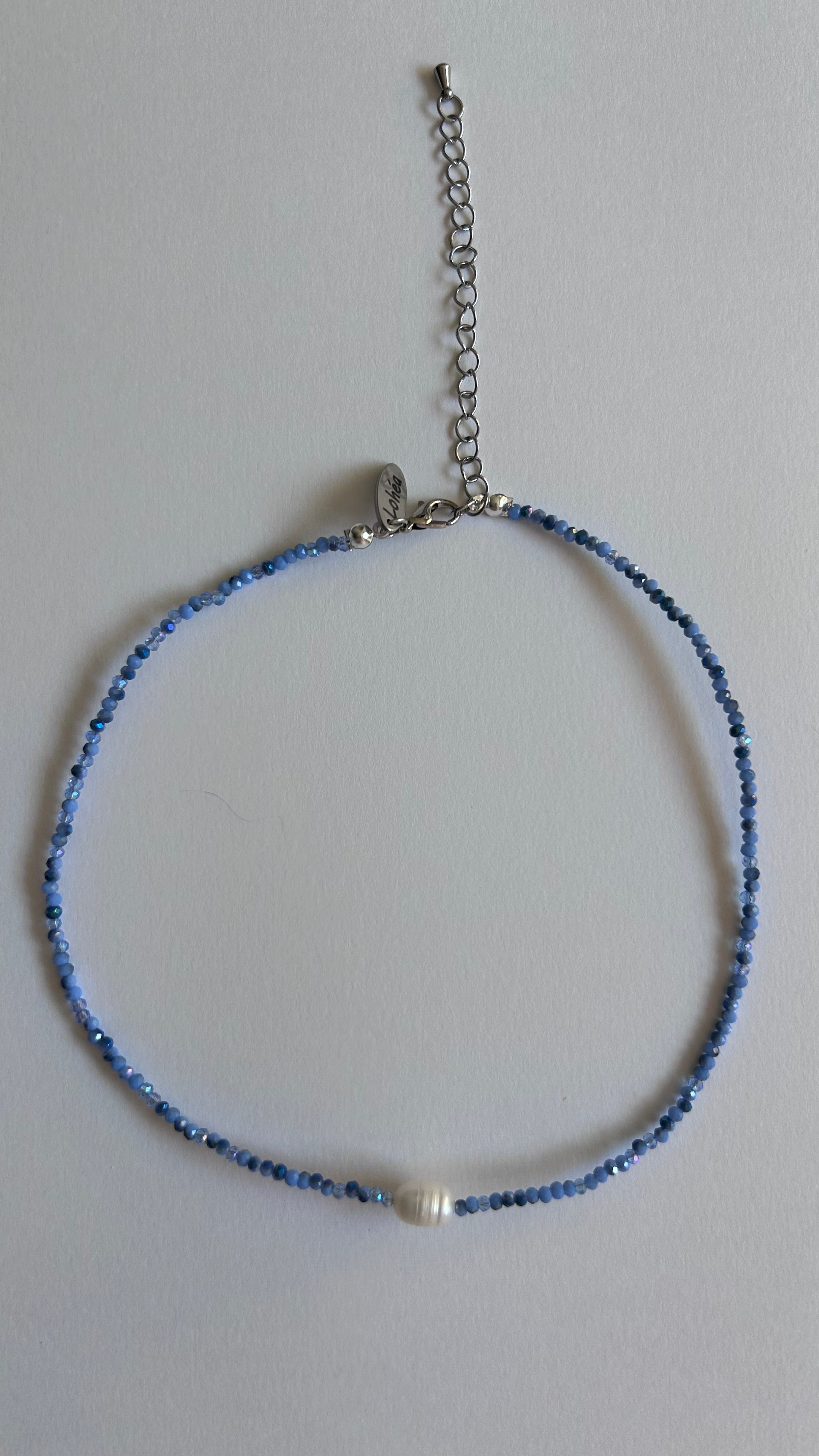 Bleuet