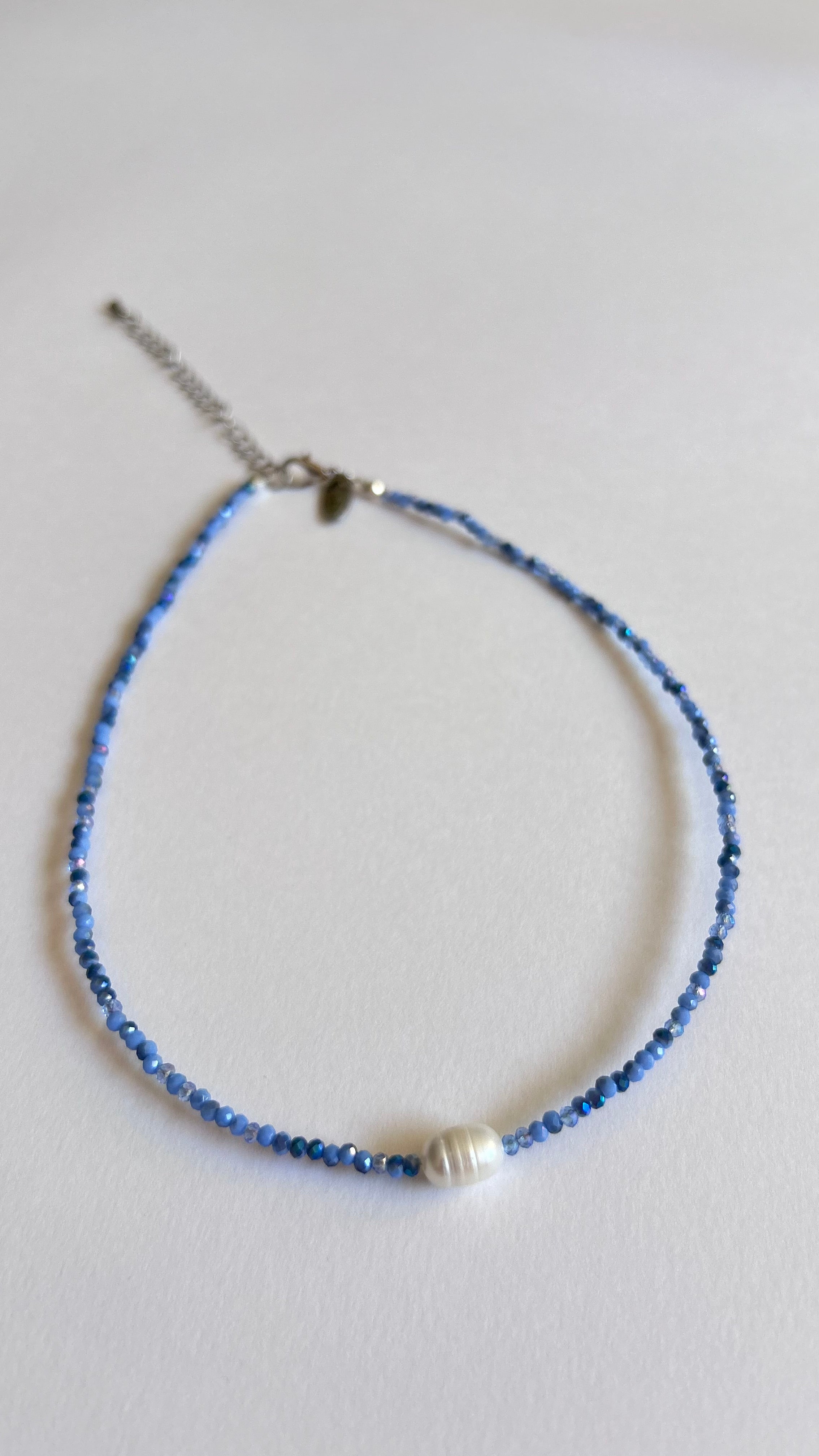 Bleuet